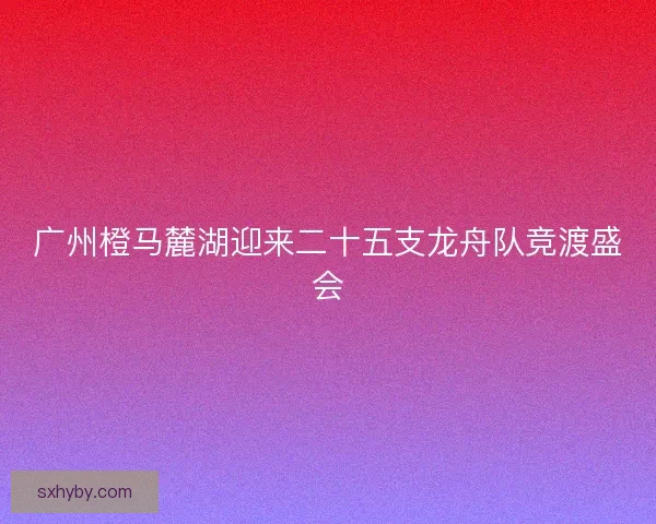 广州橙马麓湖迎来二十五支龙舟队竞渡盛会