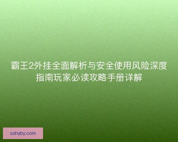 霸王2外挂全面解析与安全使用风险深度指南玩家必读攻略手册详解