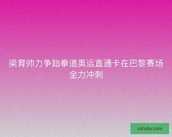 梁育帅力争跆拳道奥运直通卡在巴黎赛场全力冲刺