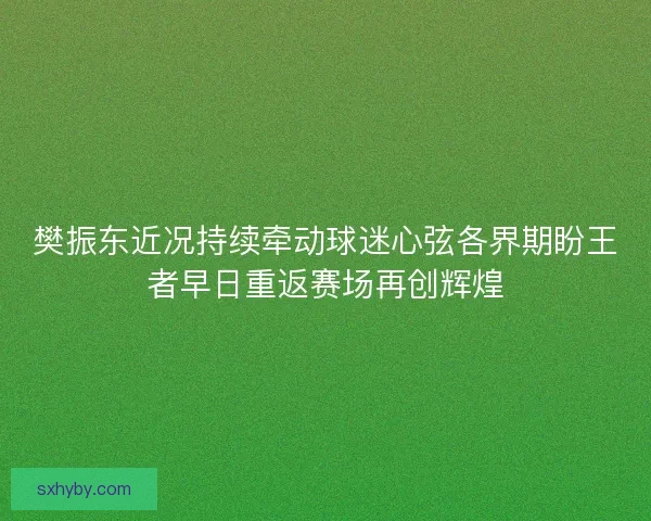 樊振东近况持续牵动球迷心弦各界期盼王者早日重返赛场再创辉煌