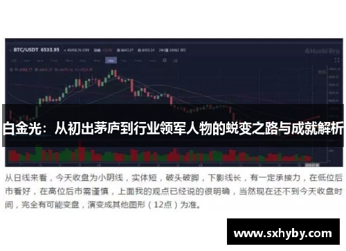 白金光：从初出茅庐到行业领军人物的蜕变之路与成就解析